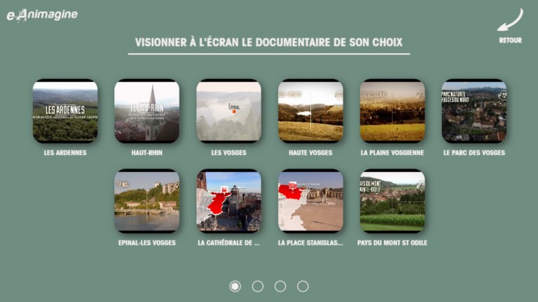 e-animagine application