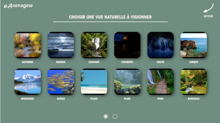 e-animagine application